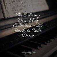 The Calming Deep Sleep Collection - 25 Tracks to Calm Down