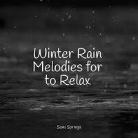 Winter Rain Melodies for to Relax