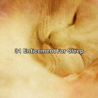 31 Enticement For Sleep