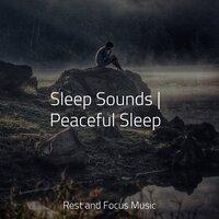 Sleep Sounds | Peaceful Sleep