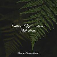 Tropical Relaxation Melodies