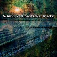 63 Mind And Meditation Tracks