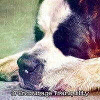 37 Encourage Tranquility