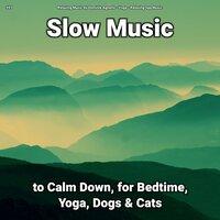 #01 Slow Music to Calm Down, for Bedtime, Yoga, Dogs & Cats