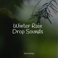 Winter Rain Drop Sounds