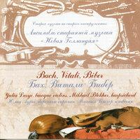 J.S. Bach, Vitali & Biber: Works for Baroque Violin & Harpsichord