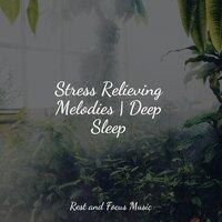Stress Relieving Melodies | Deep Sleep