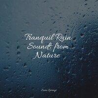 Tranquil Rain Sounds from Nature