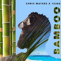 Chris Mayers
