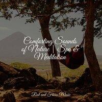 Comforting Sounds of Nature | Spa & Meditation