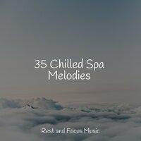 35 Chilled Spa Melodies