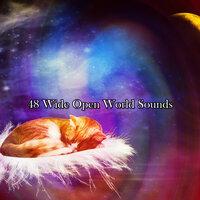 48 Wide Open World Sounds