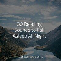 30 Relaxing Sounds to Fall Asleep All Night