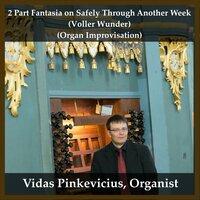 2 Part Fantasia on Safely Through Another Week (Voller Wunder) [Organ Improvisation]