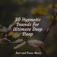 30 Hypnotic Sounds for Ultimate Deep Sleep