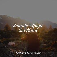 Sounds | Yoga the Mind