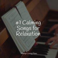 #1 Calming Songs for Relaxation
