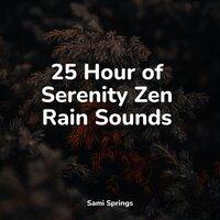 25 Hour of Serenity Zen Rain Sounds