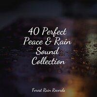 40 Perfect Peace & Rain Sound Collection