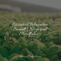 Essential Relaxation Sounds | Sleep and Mindfulness