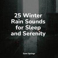 25 Winter Rain Sounds for Sleep and Serenity