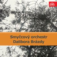 Smyčcový orchestr Dalibora Brázdy