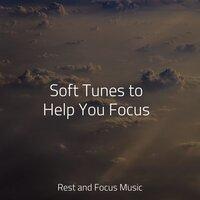 Soft Tunes to Help You Focus