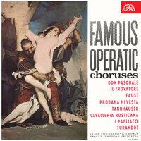 Famous Operatic Choruses (Don Pasquale, Il Trovatore, Faust, Prodaná nevěsta, Tannhäuser, Cavalleria rusticana, I pagliacci)