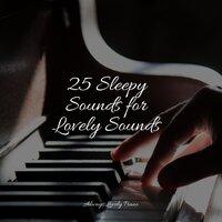 25 Sleepy Sounds for Lovely Sounds