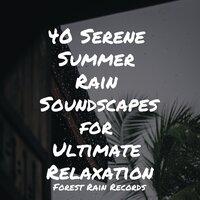 40 Serene Summer Rain Soundscapes for Ultimate Relaxation