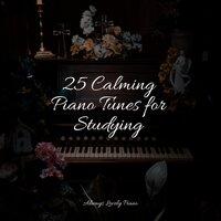 25 Calming Piano Tunes for Studying
