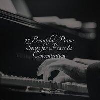 25 Beautiful Piano Songs for Peace & Concentration