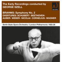 Brahms, Schubert & Others: Orchestral Works