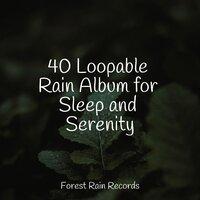 40 Loopable Rain Album for Sleep and Serenity