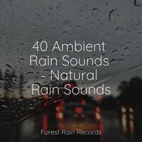 40 Ambient Rain Sounds - Natural Rain Sounds