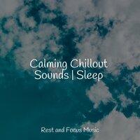 Calming Chillout Sounds | Sleep