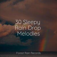 30 Sleepy Rain Drop Melodies