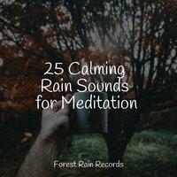 25 Calming Rain Sounds for Meditation
