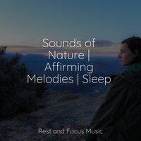 Sounds of Nature | Affirming Melodies | Sleep