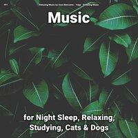 #01 Music for Night Sleep, Relaxing, Studying, Cats & Dogs