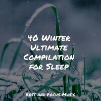40 Winter Ultimate Compilation for Sleep