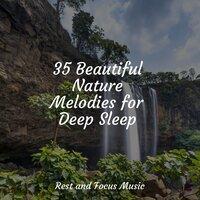 35 Beautiful Nature Melodies for Deep Sleep