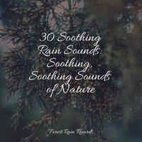 30 Soothing Rain Sounds: Soothing, Soothing Sounds of Nature