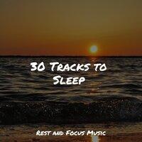 30 Tracks to Sleep