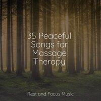 35 Peaceful Songs for Massage Therapy