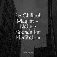 25 Chillout Playlist - Nature Sounds for Meditation