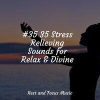 #35 35 Stress Relieving Sounds for Relax & Divine