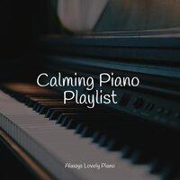 Calming Piano Playlist