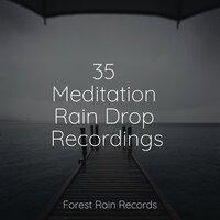 35 Meditation Rain Drop Recordings