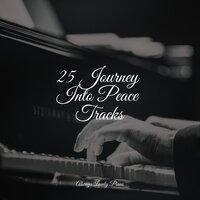 25 Journey Into Peace Tracks